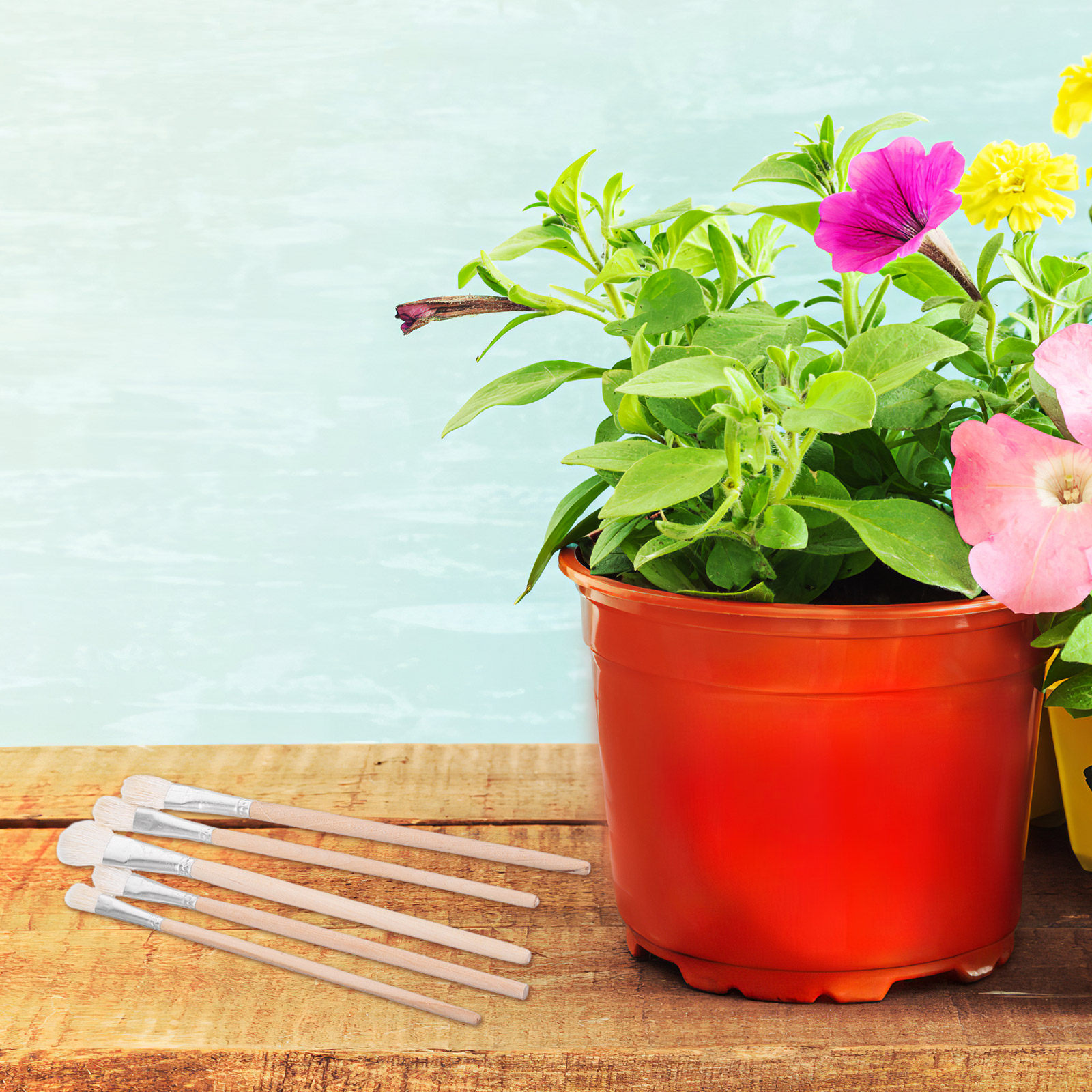11Pcs Hand Pollination Brush f - Gardening Tools Hand 评论和价格