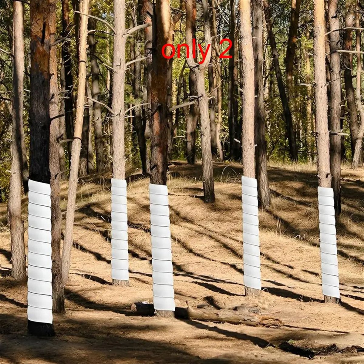 A75K Plant Tree Trunk Protecto - Gardening Tools B&Q 评论和价格