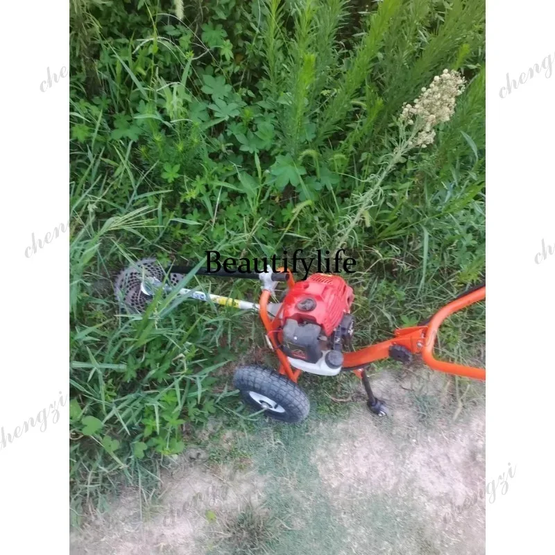 L178 Lawn mower hand push lawn - Gardening Tools Hand 评论和价格