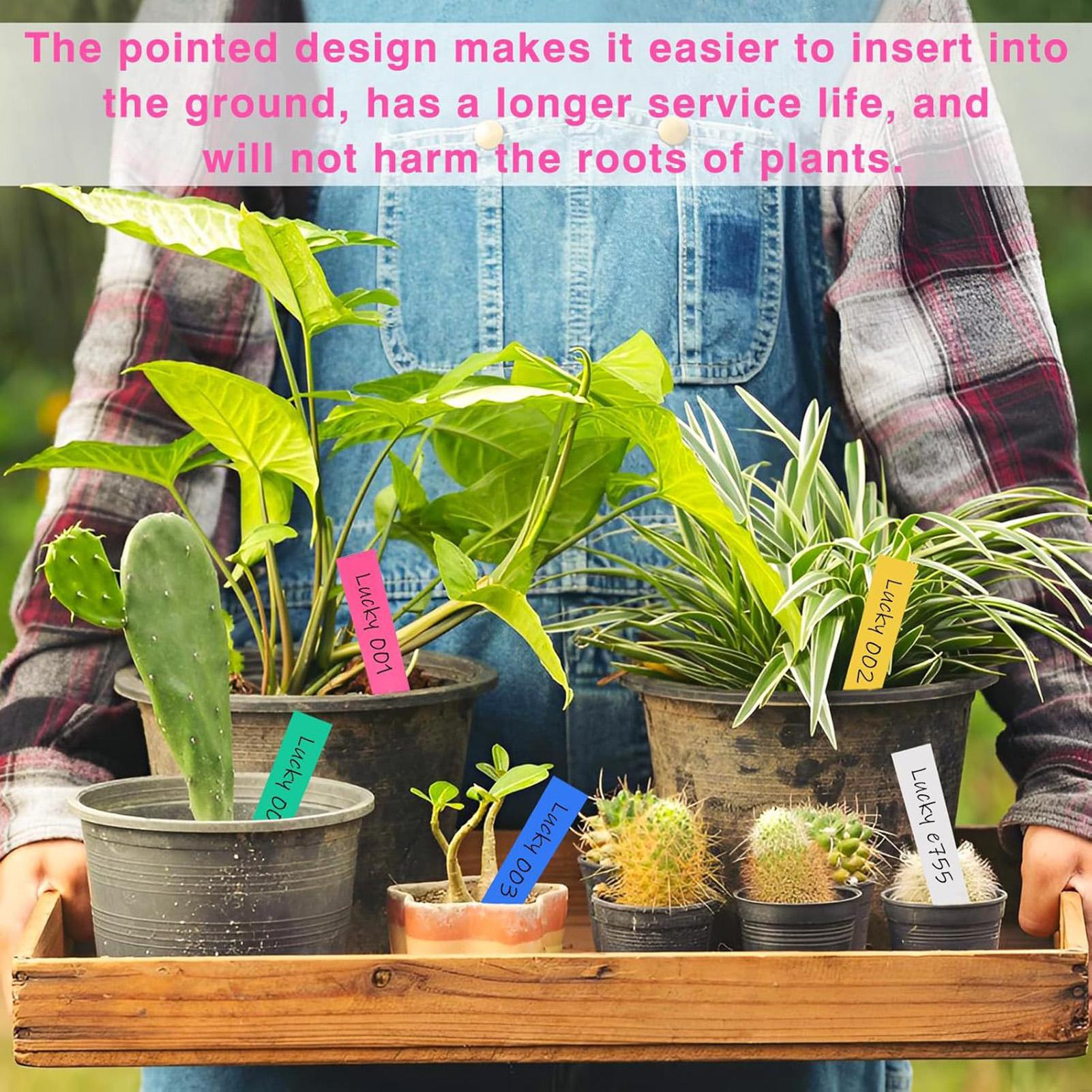 500Pcs Plant Labels Garden Sig - Garden Label Marker 评论和价格