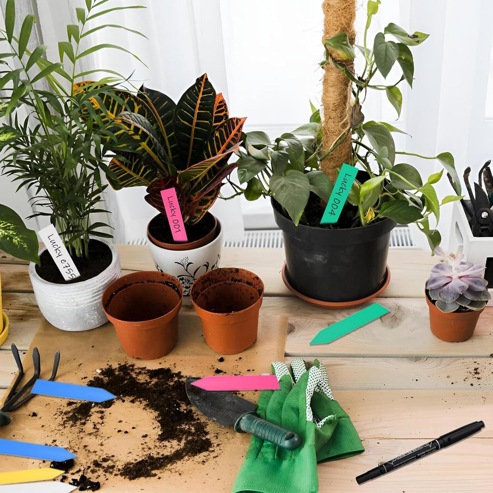 500Pcs Plant Labels Garden Sig - Garden Label Marker 评论和价格