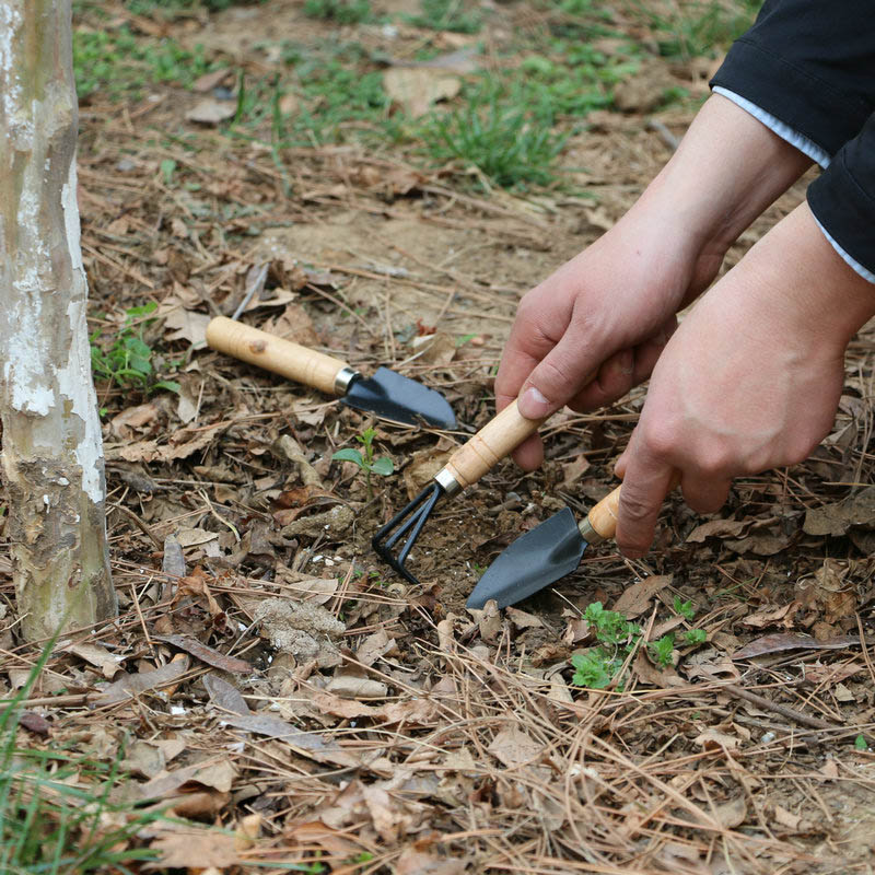 3Pcs/Set Mini Garden Tool Set  - Gardening Tools For Weeds 评论和价格