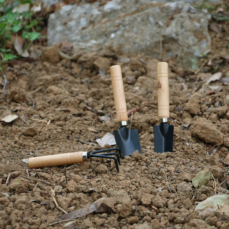 3Pcs/Set Mini Garden Tool Set  - Gardening Tools For Weeds 评论和价格
