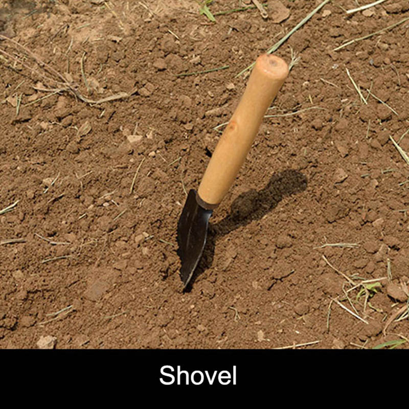 3Pcs/Set Mini Garden Tool Set  - Gardening Tools For Weeds 评论和价格