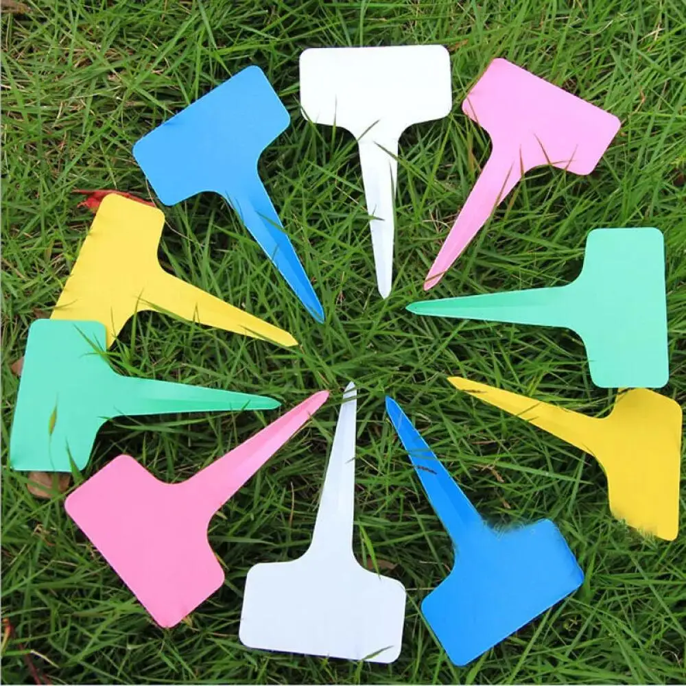 25-200Pcs Reusable Plastic Pla - Garden Label Marker 评论和价格