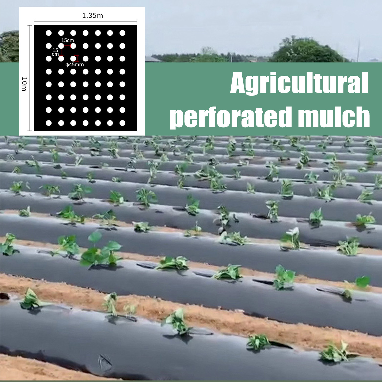 PE Perforated Mulch Film Farm  - Gardening Tools For Weeds 评论和价格