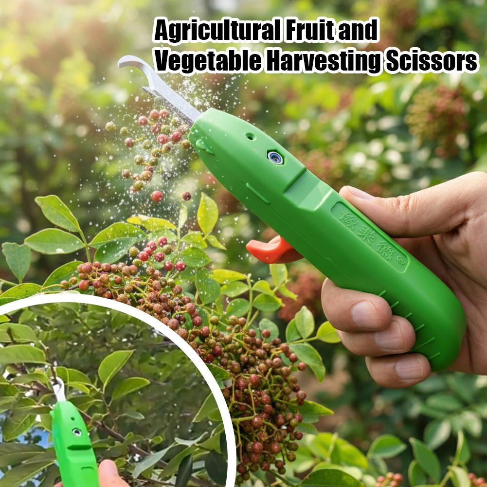Fruit And Vegetable Picking Sh - Essential Gardening Tools 评论和价格