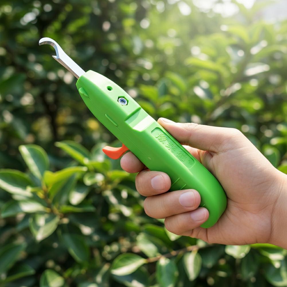 Fruit And Vegetable Picking Sh - Essential Gardening Tools 评论和价格