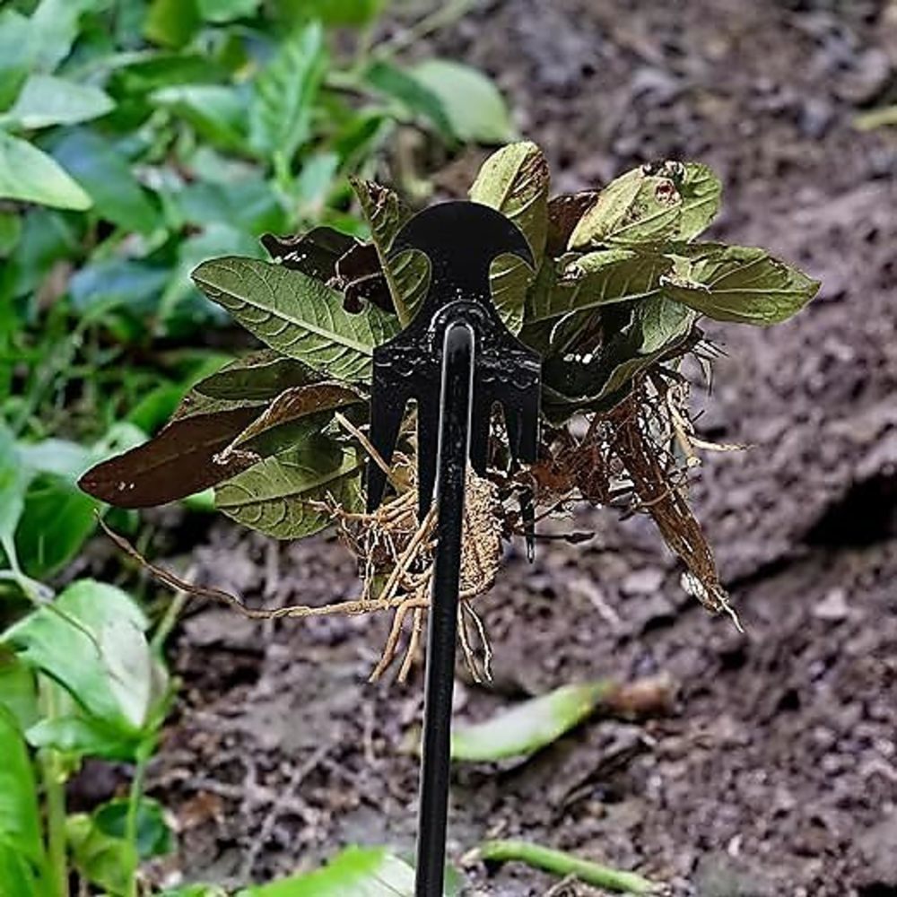4 Teeths - Multifunctional Han - Gardening Tools For Weeds 评论和价格