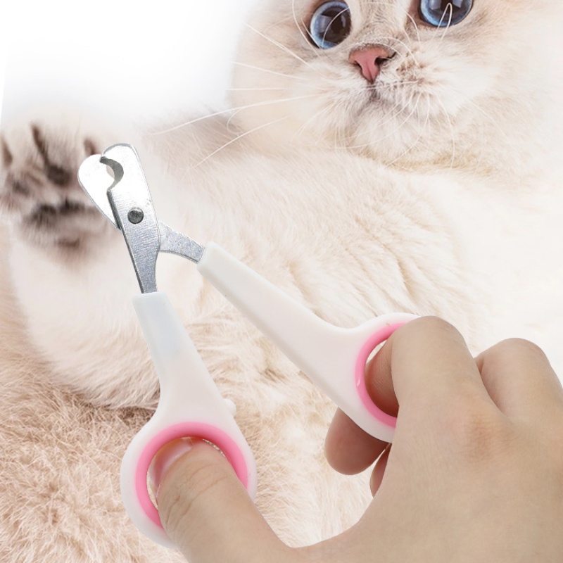 Pet Nail Dog Nail Clippers Sci - Essential Gardening Tools 评论和价格