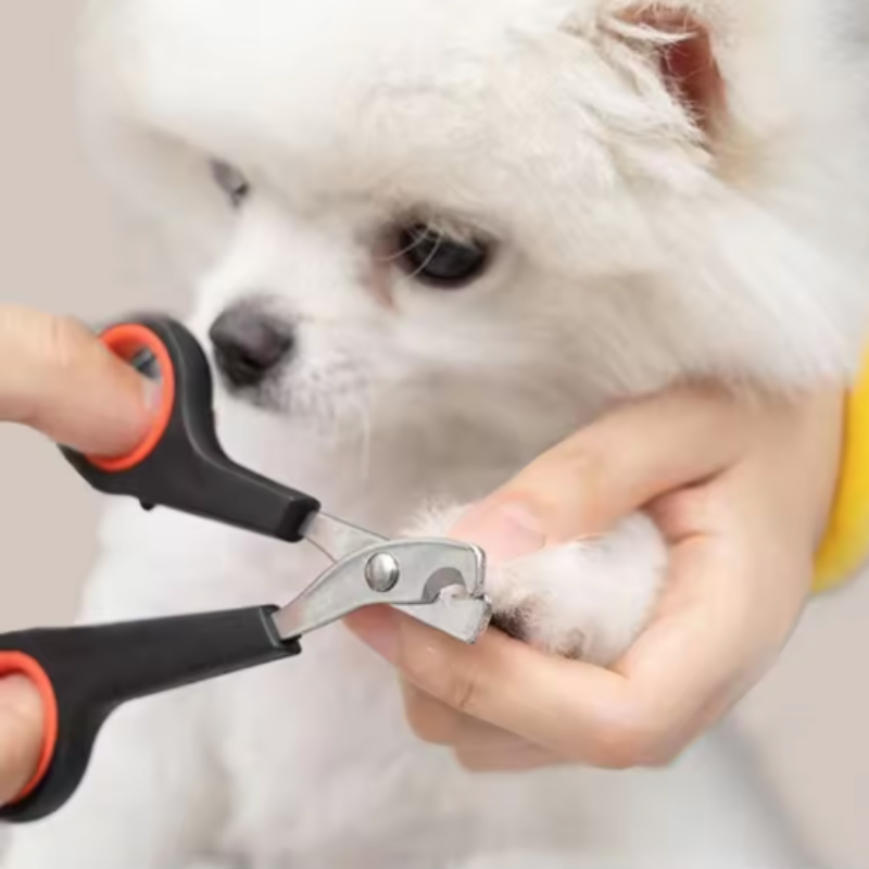 Pet Nail Dog Nail Clippers Sci - Essential Gardening Tools 评论和价格