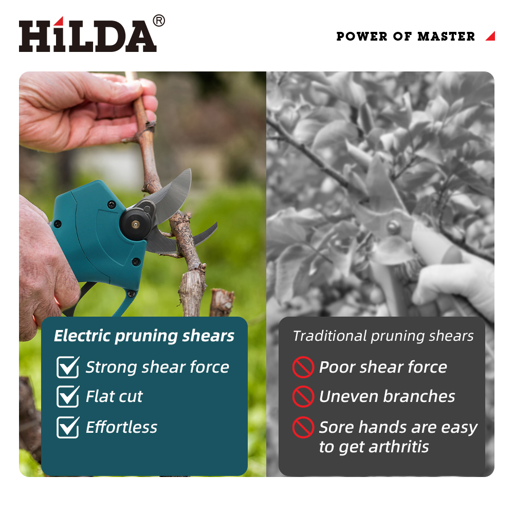 HILDA 18V Brushless Cordless E - Essential Gardening Tools 评论和价格