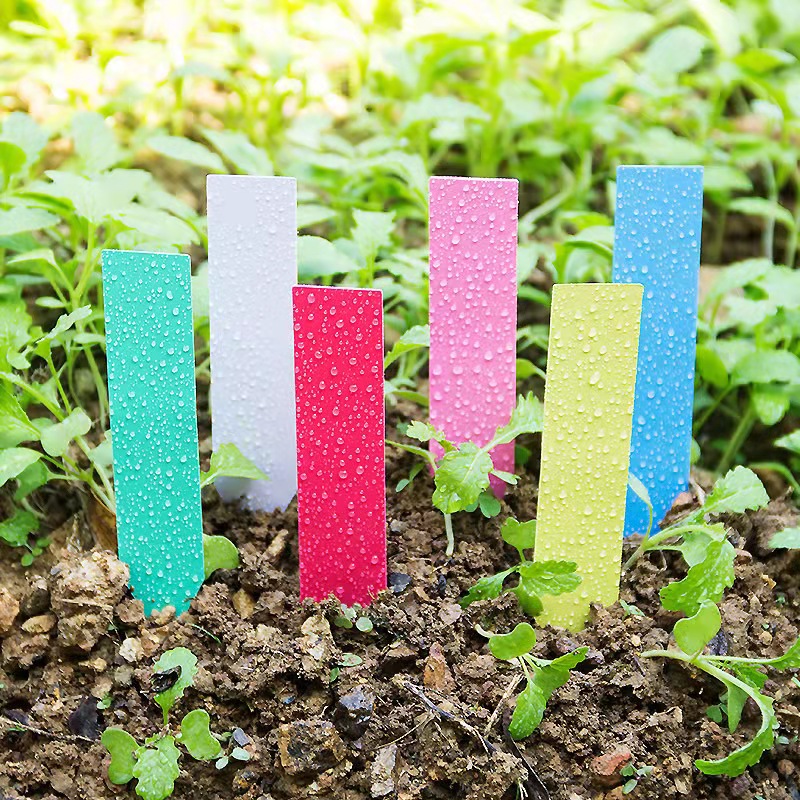 100Pcs Garden Plant Labels Pla - Garden Label Marker 评论和价格