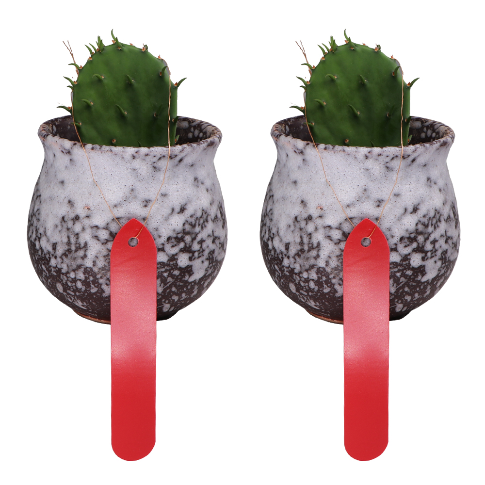 50PCS 1.8x10CM Plant Tags with - Garden Label Marker 评论和价格