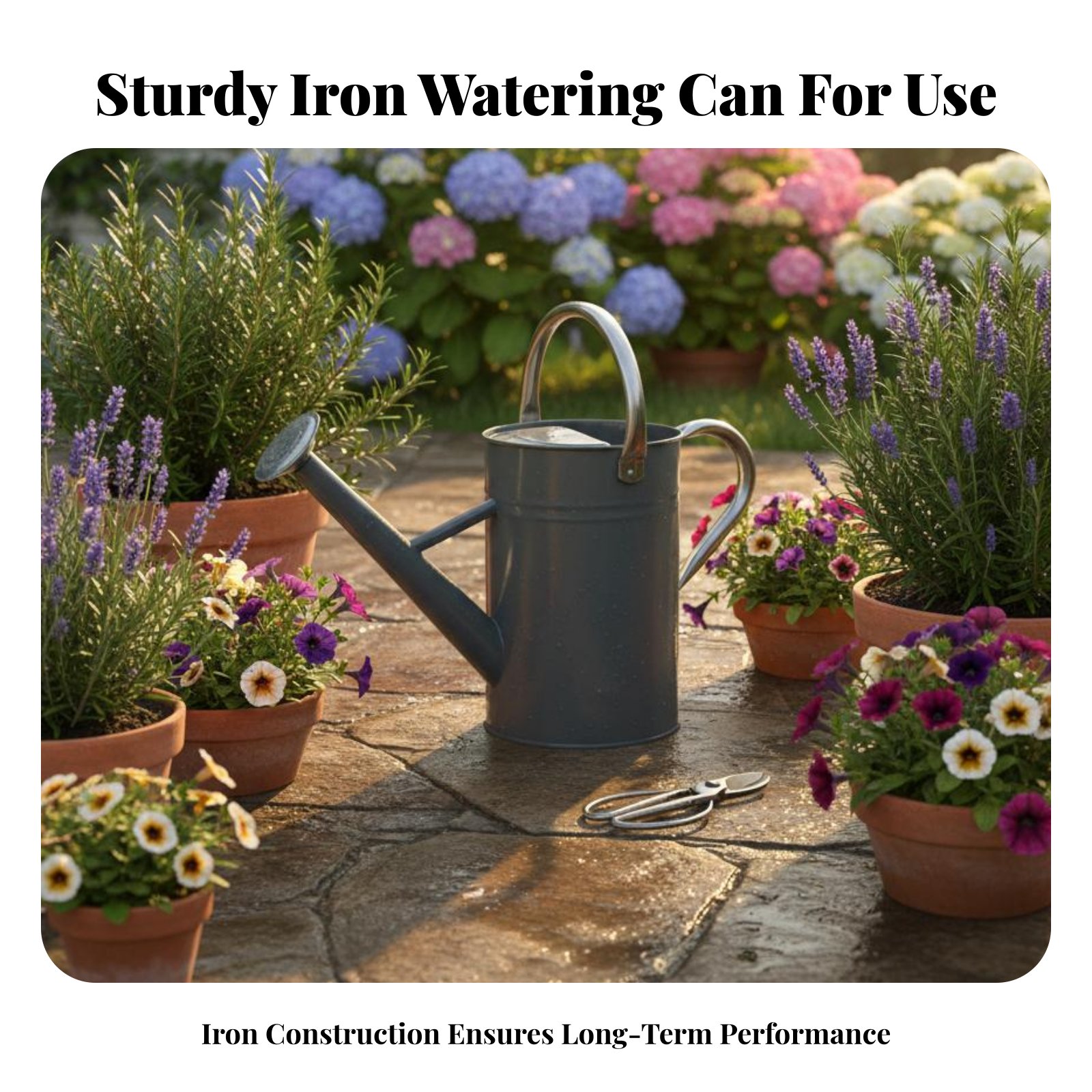 5L Garden Watering Pot Sturdy  - Gardening Tools Watering Can 评论和价格