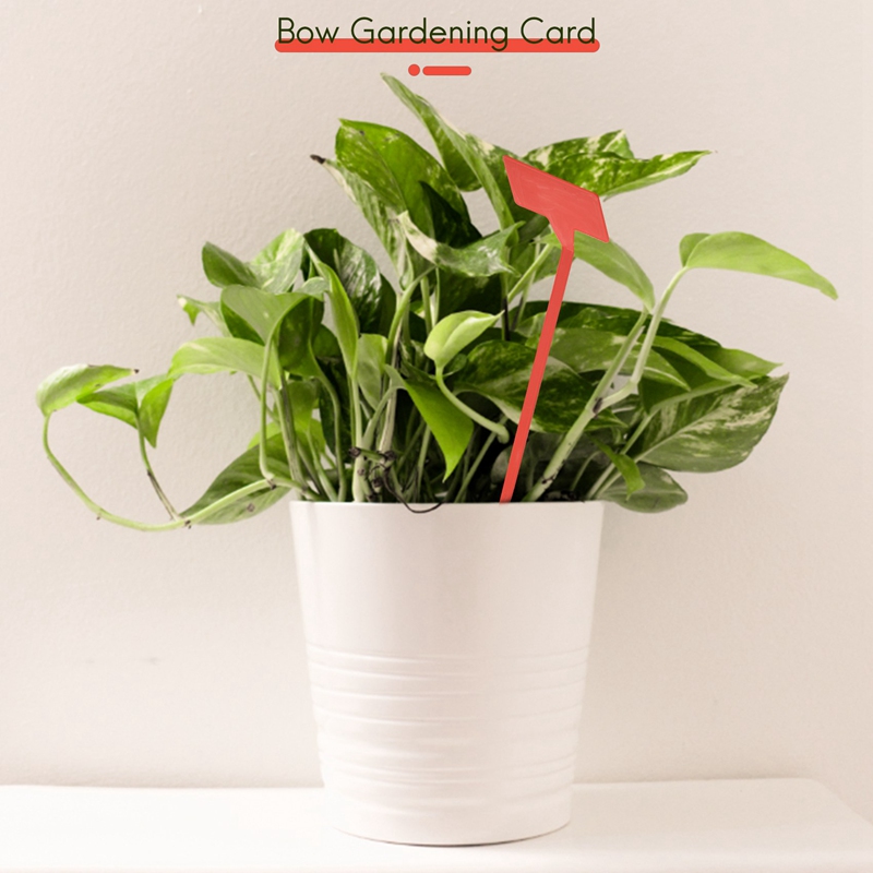 ABYP Gardens Planting Tools 50 - Garden Label Marker 评论和价格