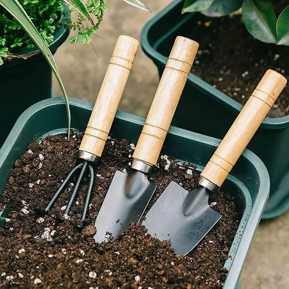 3Pcs/Set Mini Garden Tool Set  - Gardening Tools For Weeds 评论和价格