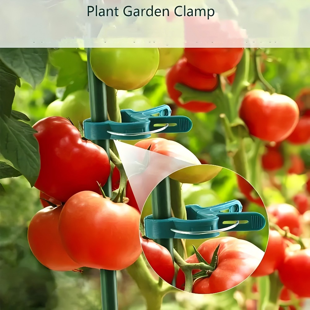 10/30/50pcs Adjustable Plant C - Essential Gardening Tools 评论和价格