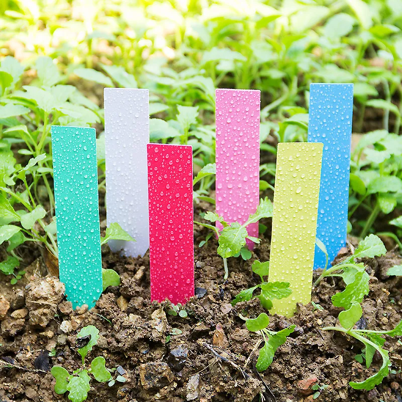 100pcs Thick 4inch Plant Label - Garden Label Marker 评论和价格
