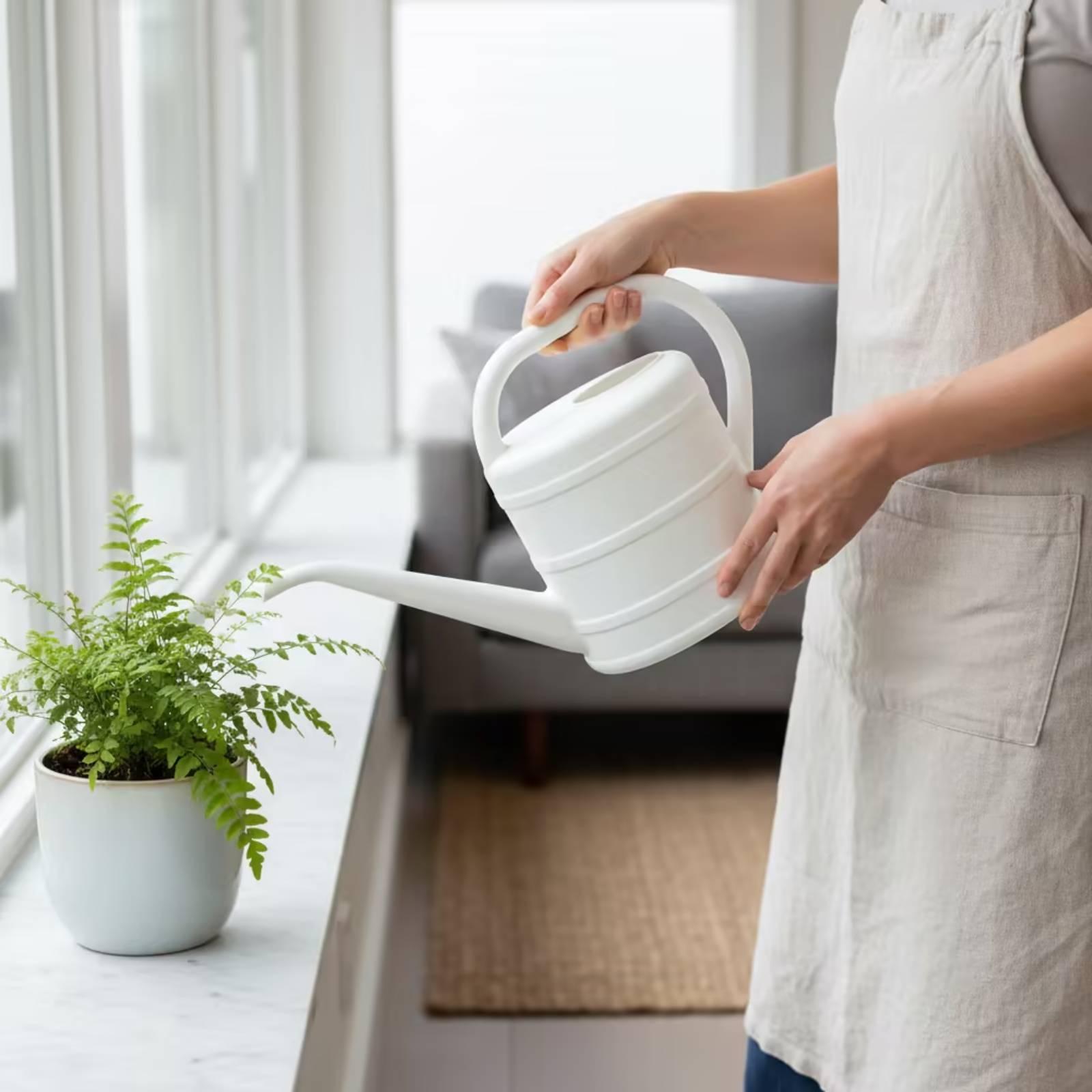 Watering Can with Long Spout E - Gardening Tools Watering Can 评论和价格