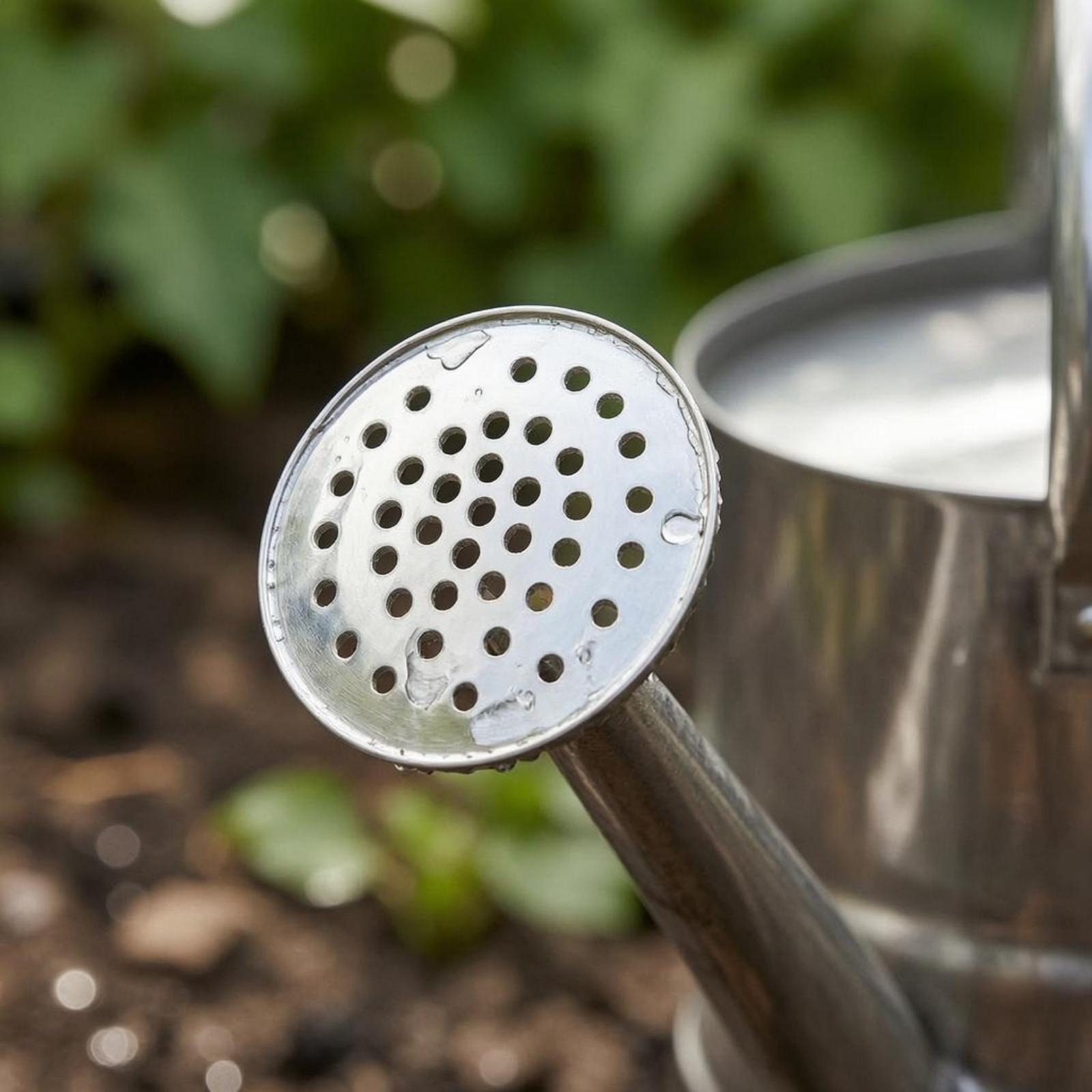 Garden Flower Watering Can Sta - Gardening Tools Watering Can 评论和价格