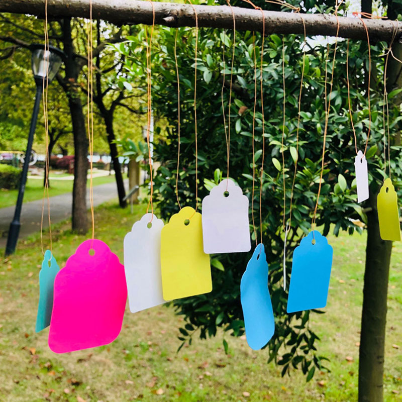 100pcs Plant Labels With Rope  - Garden Label Marker 评论和价格