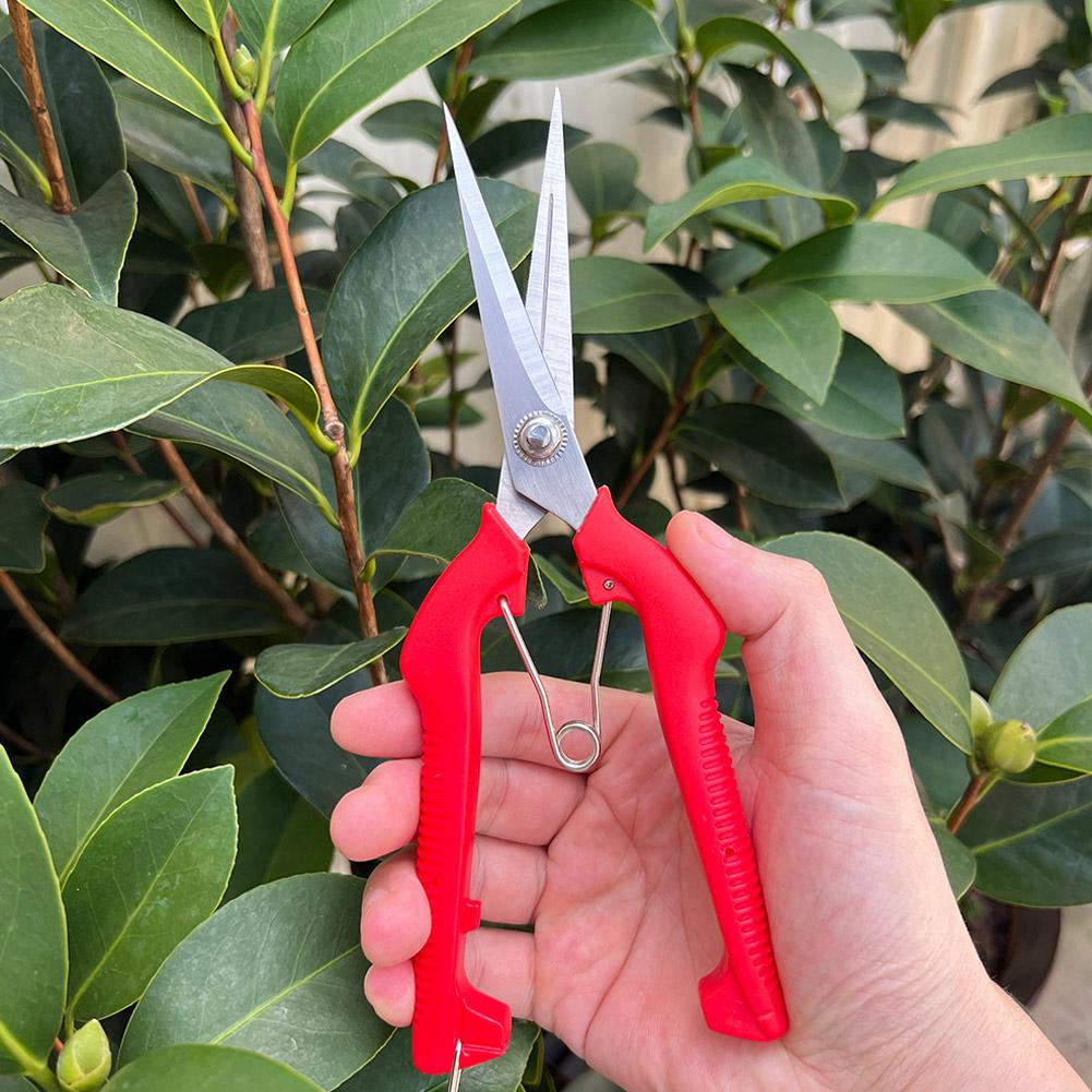 Pro Garden Pruning Shears Leng - Essential Gardening Tools 评论和价格