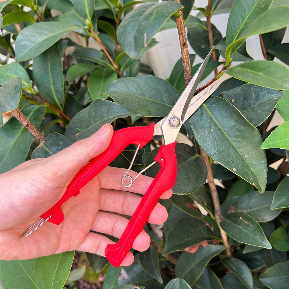 Pro Garden Pruning Shears Leng - Essential Gardening Tools 评论和价格