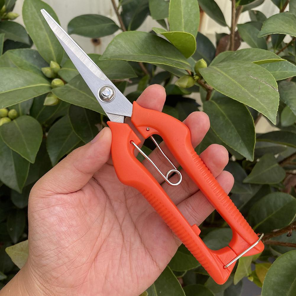 Pro Garden Pruning Shears Leng - Essential Gardening Tools 评论和价格