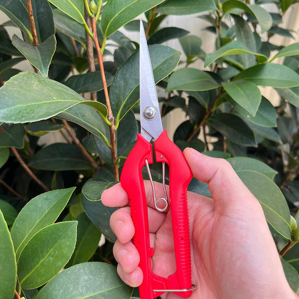 Pro Garden Pruning Shears Leng - Essential Gardening Tools 评论和价格