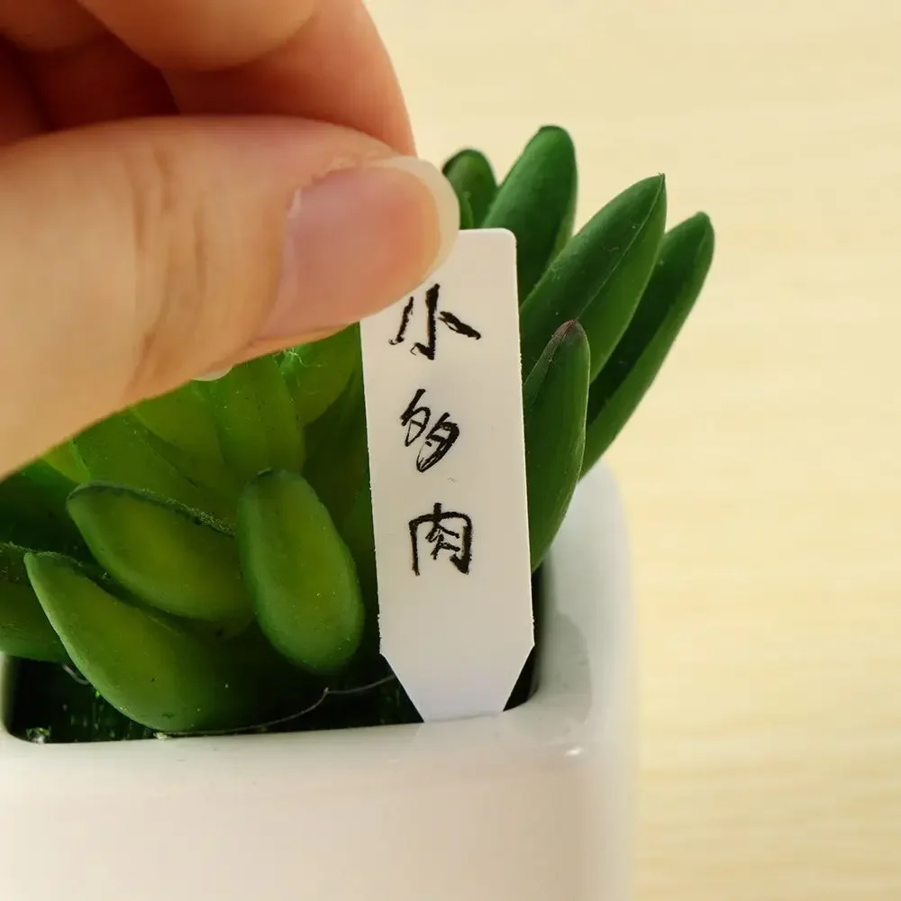 100Pcs Reusable Classification - Garden Label Marker 评论和价格