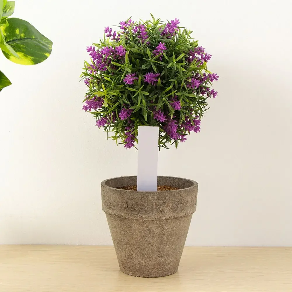 100Pcs Reusable Classification - Garden Label Marker 评论和价格