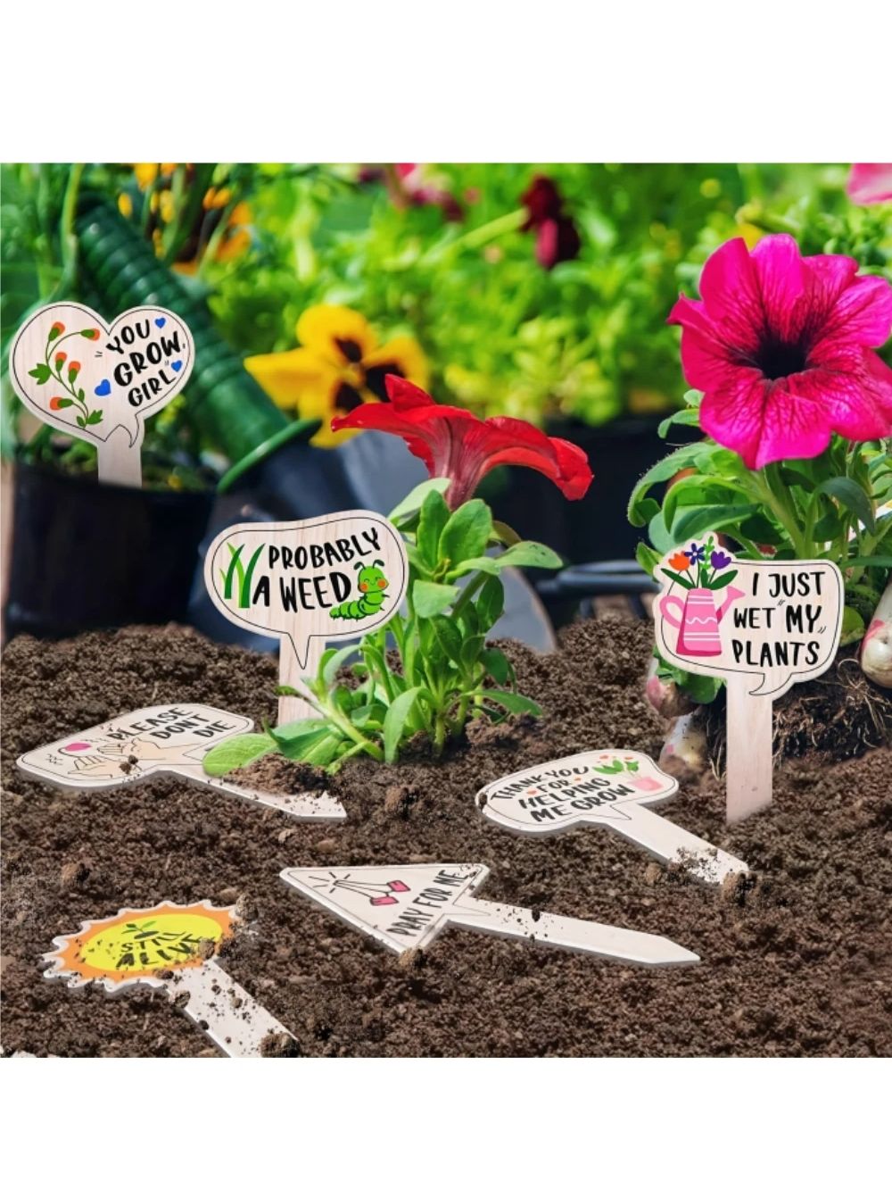 5/10Pcs Plant Labels for Succu - Garden Label Marker 评论和价格