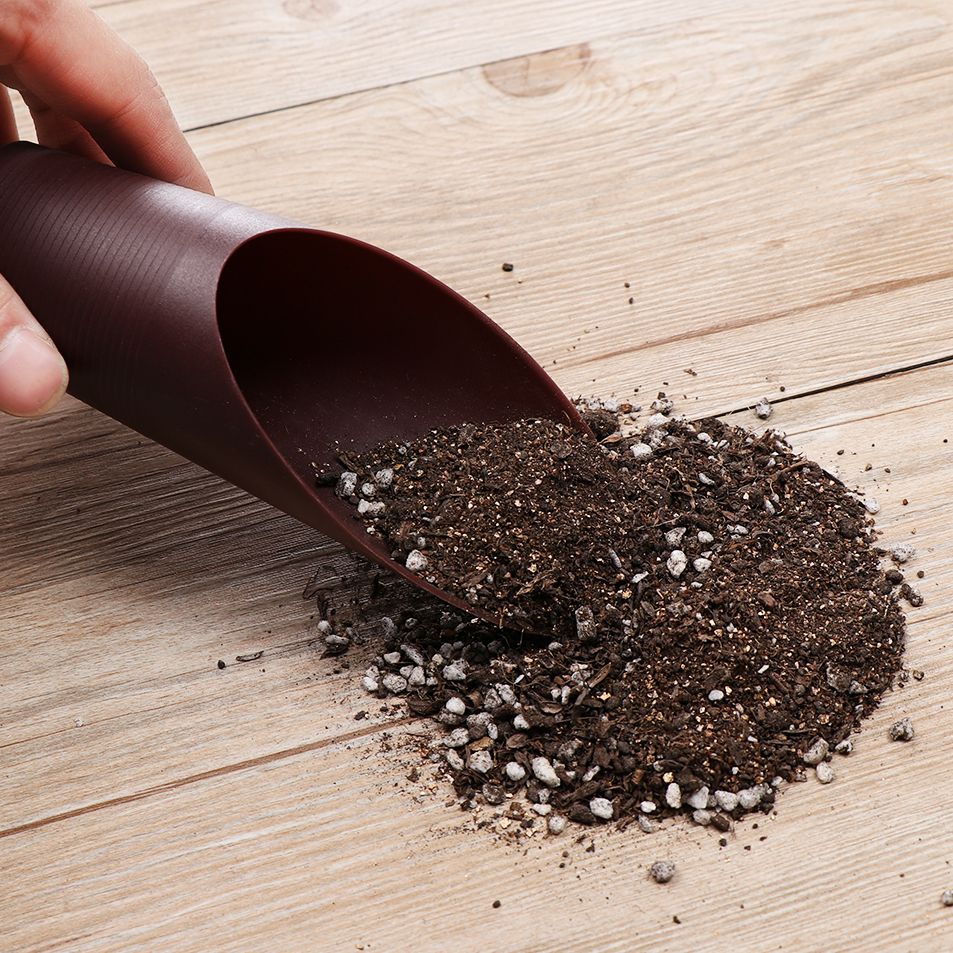1PC Plastic Soil Shovel Cup Fo - Gardening Tools Brands 评论和价格