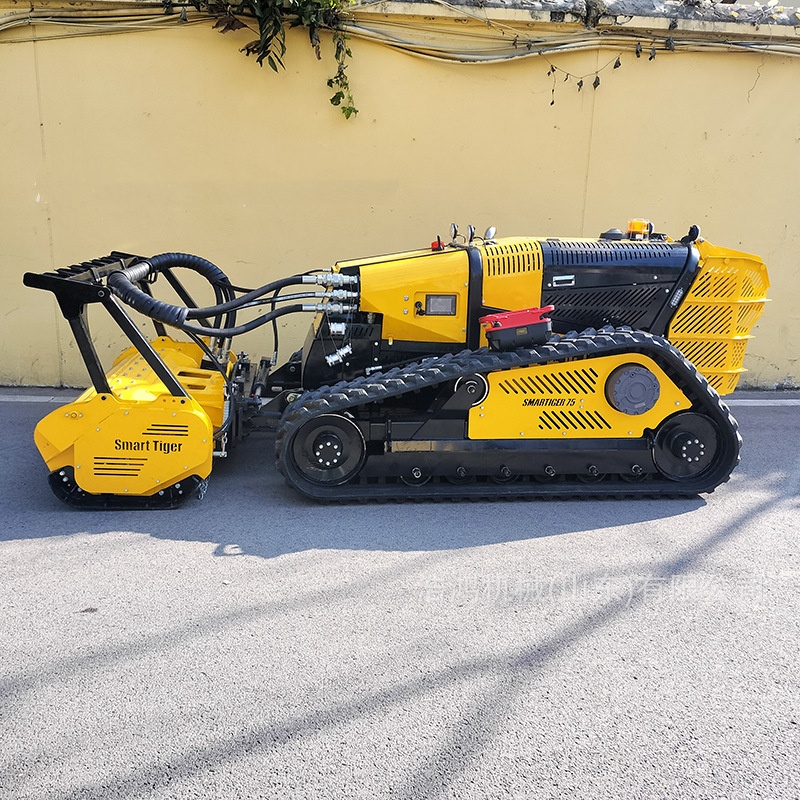 Intelligent Remote Control Cra - Gardening Tools For Weeds 评论和价格